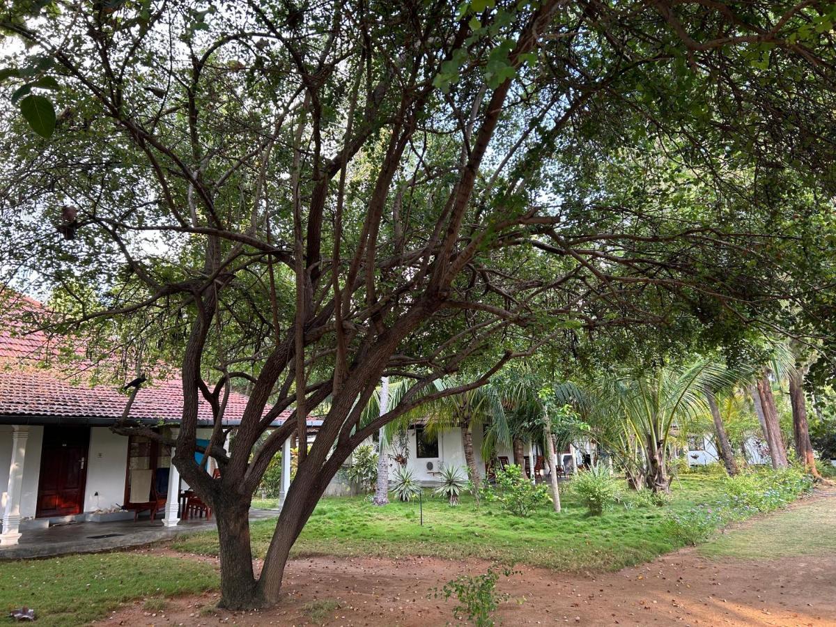 108 Palms Beach Resort Trincomalee Exterior foto