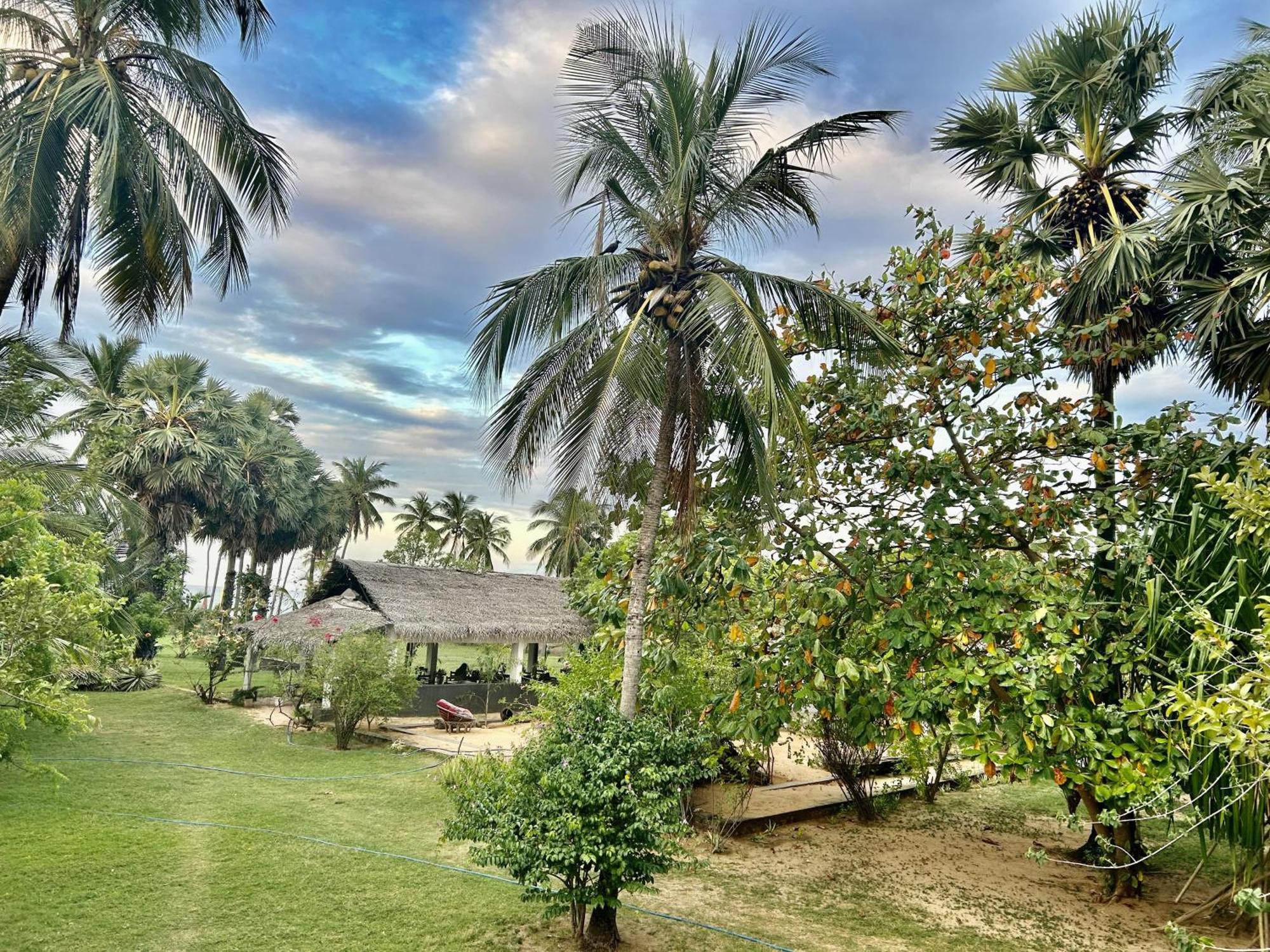 108 Palms Beach Resort Trincomalee Exterior foto